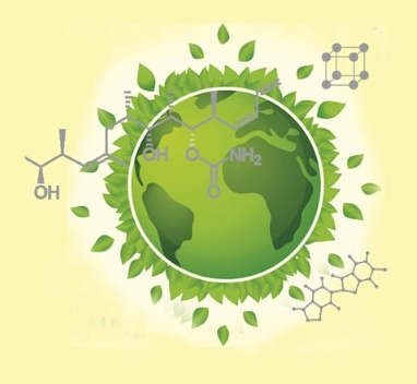 image_site_JCD_3.png